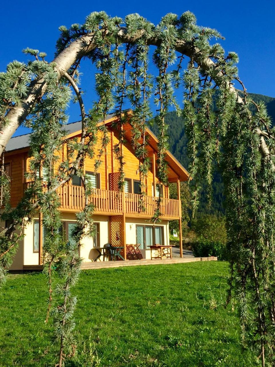 Les Chalets Fleurs De France - Kota Saint-Dalmas Esterno foto