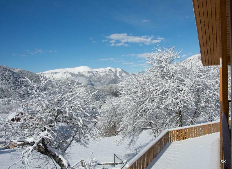 Les Chalets Fleurs De France - Kota Saint-Dalmas Esterno foto